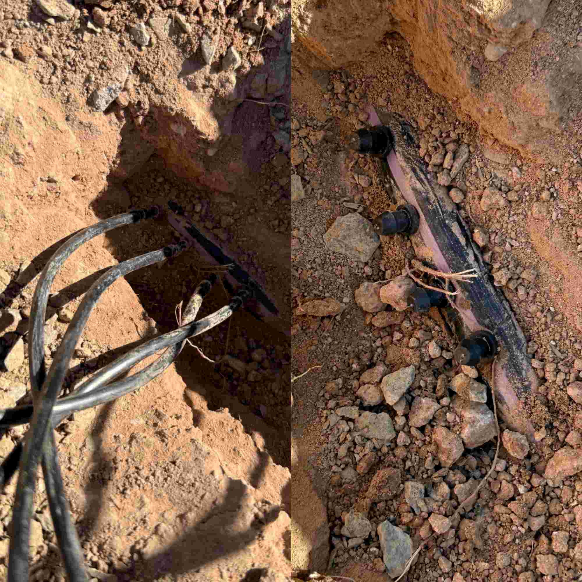 Subsurface drip irrigation repair line replacement and emitter configuration layout in Phoenix Arizona